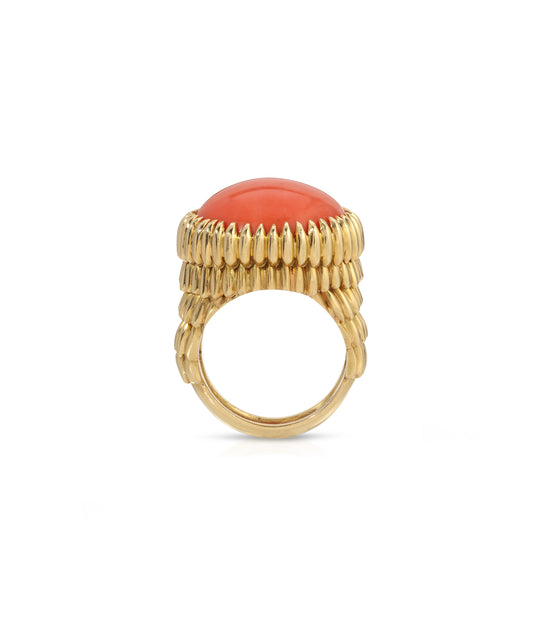 Coral Claw Ring in 18K Gold