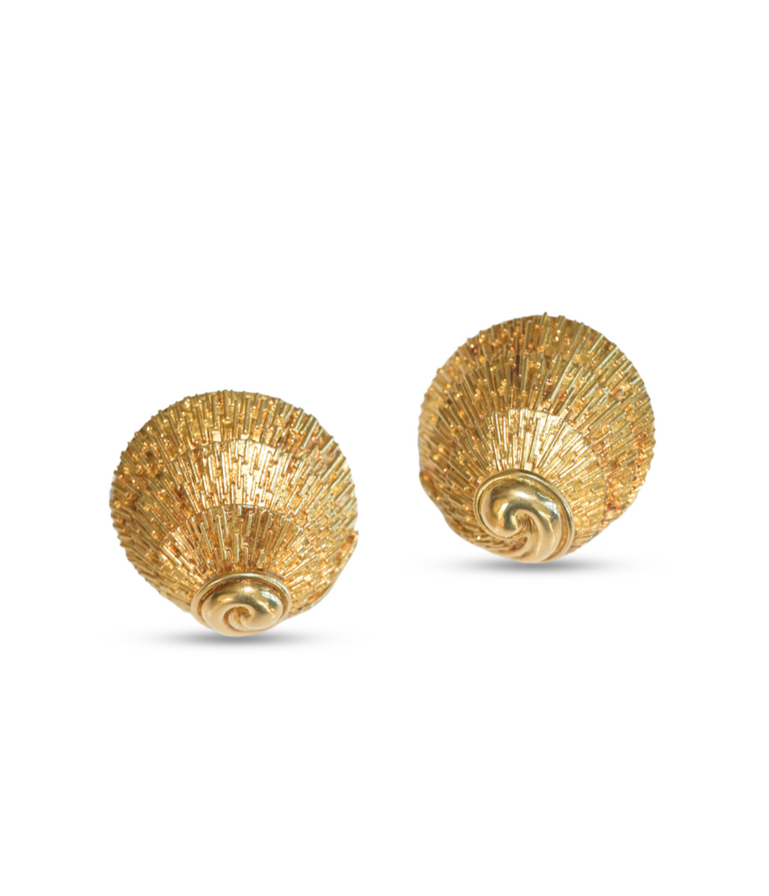 Seashell Ear Clips in 18k Gold